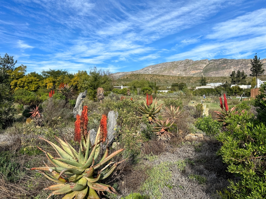 0 Bedroom Property for Sale in Barrydale Western Cape